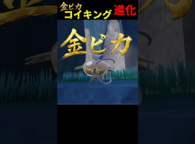 金ピカのコイキングを進化させたらエビになったw【ポケモンSV】