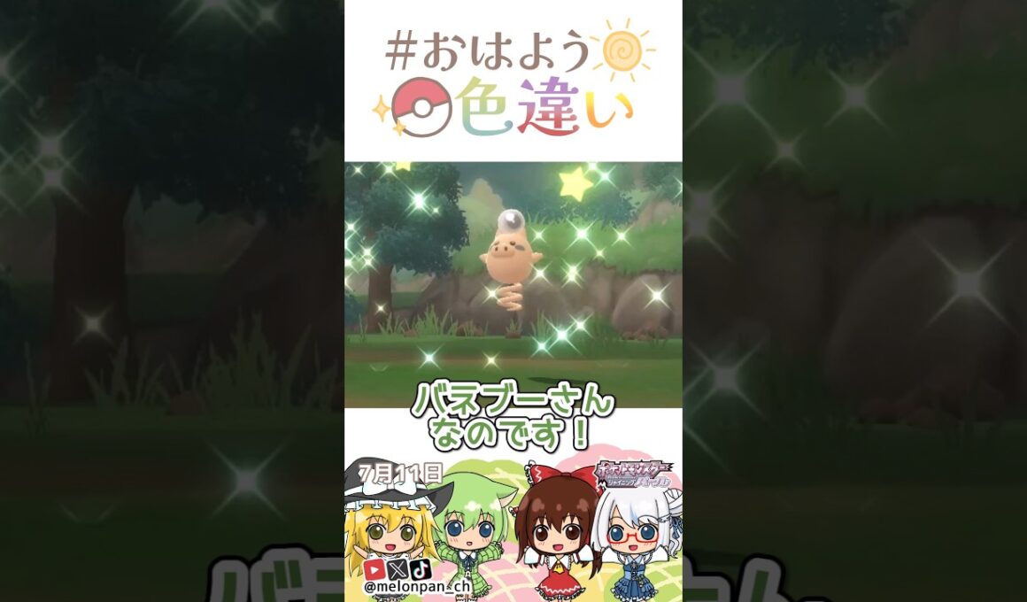 ☀️今日は真珠記念日！色違いバネブー🐷✨2026年7月11日 #おはよう色違い #おは色 #ポケモン