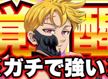 １０万円ランストットの貫通率をぶち上げた人間編成がマジで強すぎるｗｗｗｗ【グラクロ】【七つの大罪グランドクロス】