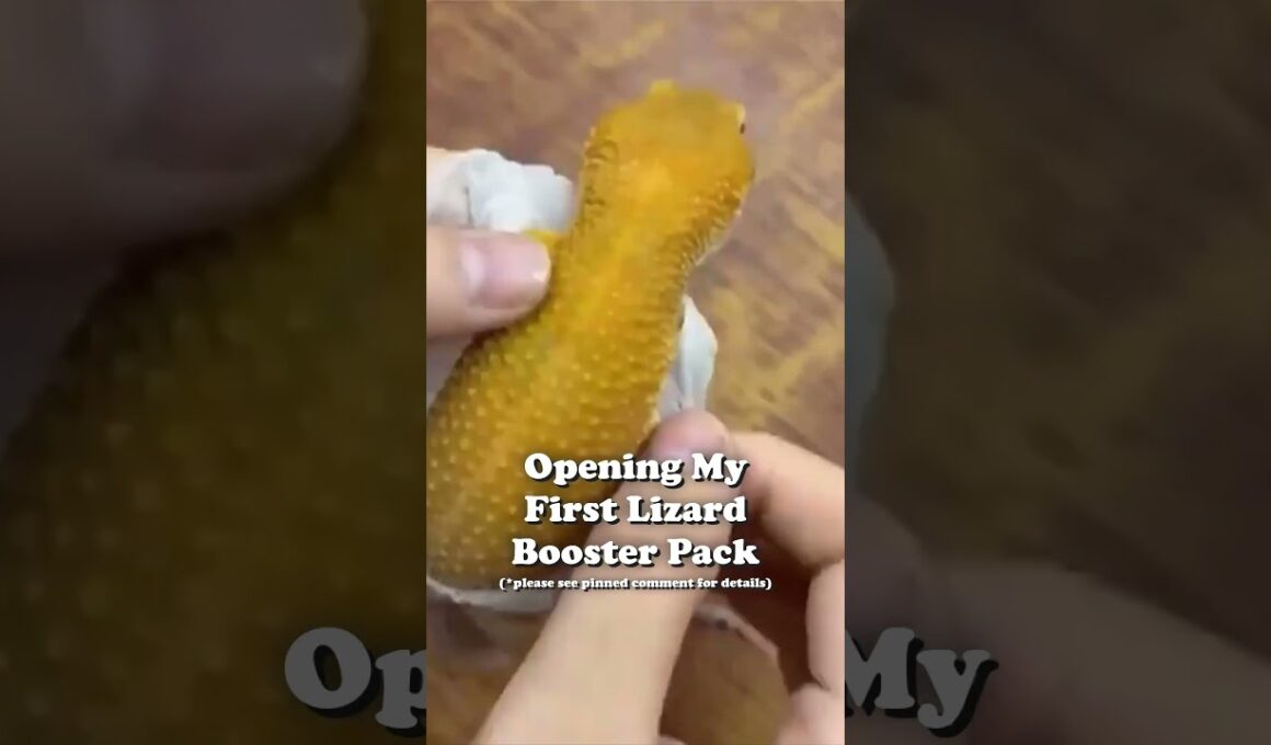 Opening Lizard Booster Packs