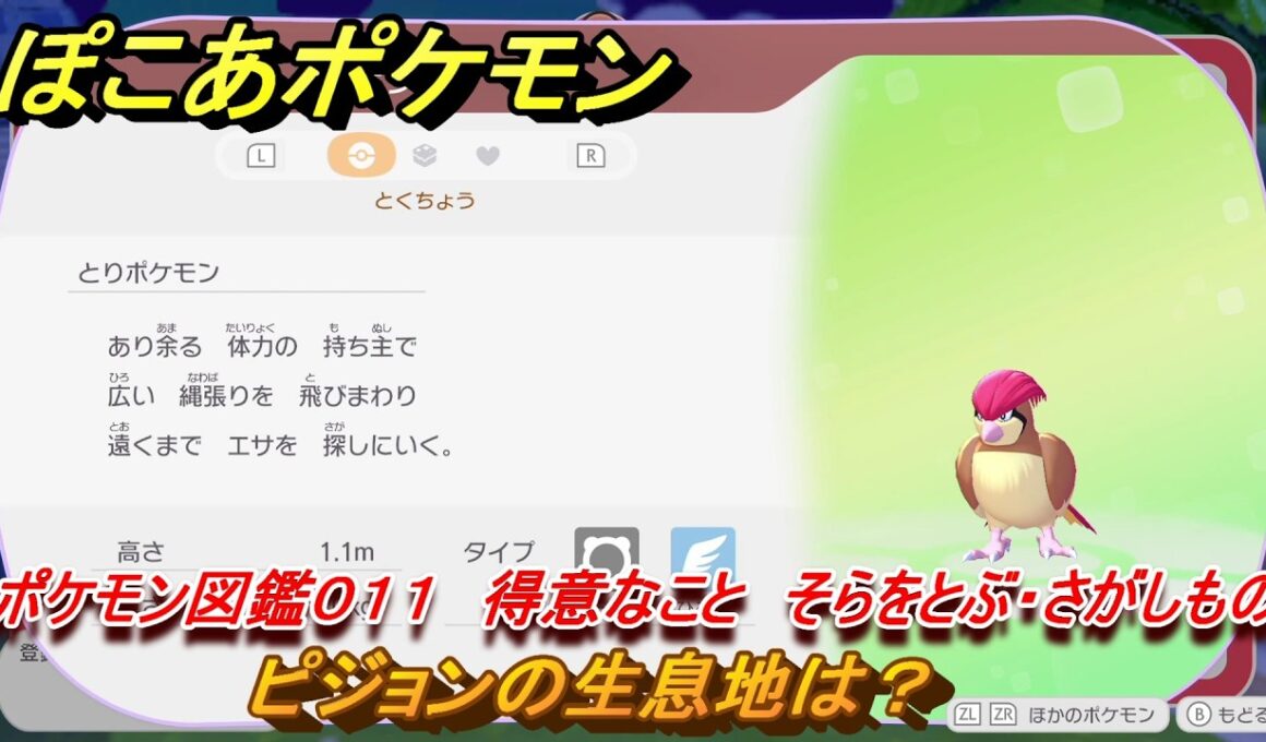 ぽこあポケモン　ピジョンの生息地は？　ポケモン図鑑０１１　得意なこと　そらをとぶ・さがしもの　＃７５９　【ぽこポケ】