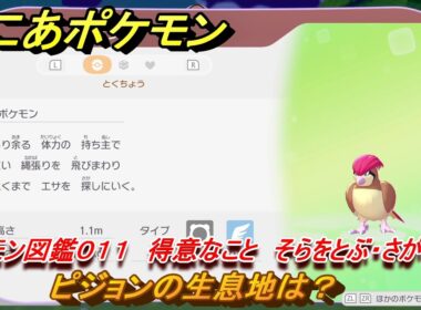 ぽこあポケモン　ピジョンの生息地は？　ポケモン図鑑０１１　得意なこと　そらをとぶ・さがしもの　＃７５９　【ぽこポケ】