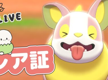 【色証厳選】ワンパチのレア証に出逢いたい【ポケモン剣盾】