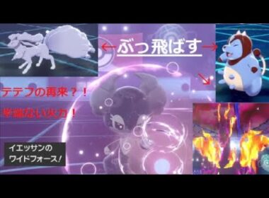 カプ・テテフさんは安心してアローラを守れるね！【ポケットモンスター ソード・シールド】