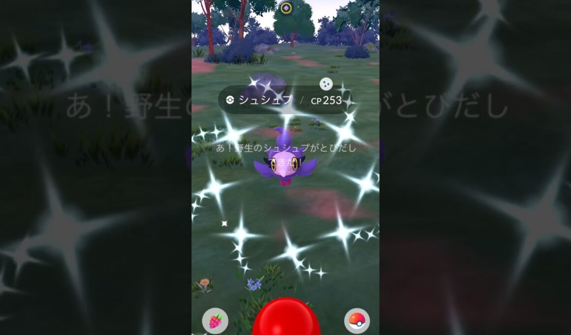 色違いシュシュプ出現✨【ポケモンGO】