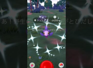 色違いシュシュプ出現✨【ポケモンGO】
