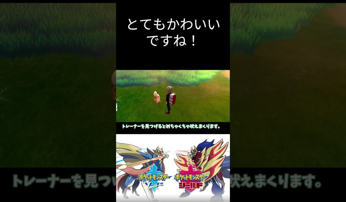 ガーディが可愛くて！ #ポケットモンスター #ポケモン #ポケモン剣盾 #ポケットモンスター剣盾