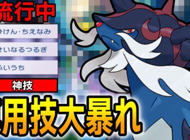 【大暴れ】新環境にぶっ刺さりのヒスイダイケンキ覚える技が偉すぎた【ポケモンChampions】