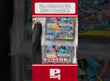 全部10に変える!?「伝説のコダック」のパワーがヤバすぎた…【PSA鑑定】 #Shorts