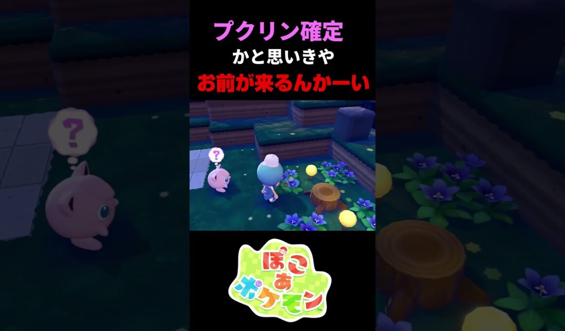 プリン、ププリンと同じ生息地！これはプクリン確定演出…と思いきやまさかのポケモンが！！【ぽこあポケモン】#ぽこポケ #ポケモン #shorts