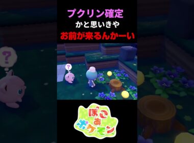プリン、ププリンと同じ生息地！これはプクリン確定演出…と思いきやまさかのポケモンが！！【ぽこあポケモン】#ぽこポケ #ポケモン #shorts