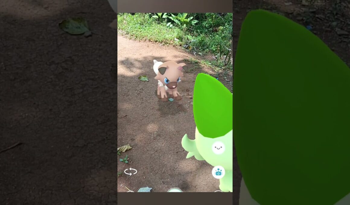 Fresh Cat Vs Rocky Puppy Pokemon #227 #pokemon #ポケモン