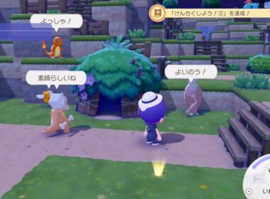 【ぽこ あ ポケモン】ホシガリス、ワンリキー、自宅建設など