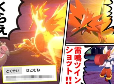 【ゆっくり実況】『鳩胸バルジーナ』とかいう最強なのに存在を忘れられ過ぎるポケモンｗｗｗ クソ特性である鳩胸をここまで生かせるのがヤバすぎる件ｗｗｗ【ポケモン剣盾/ダブルバトル】