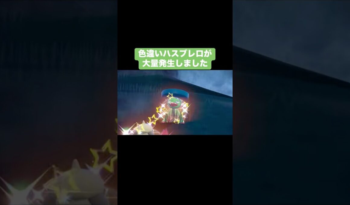 色違いハスブレロが大量発生しました【ポケモンSV】