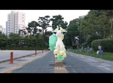 가라르 포니타 ( Galarian Ponyta ) ガラルポニータ ( 小火馬 ) (16:9)