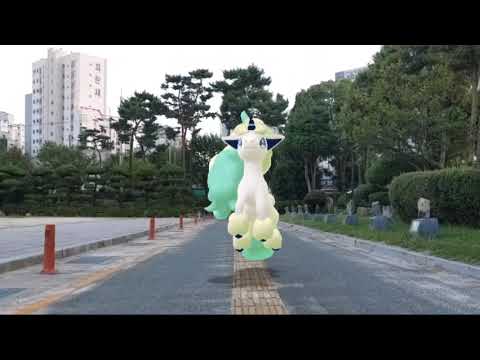 가라르 포니타 ( Galarian Ponyta ) ガラルポニータ ( 小火馬 ) (16:9)