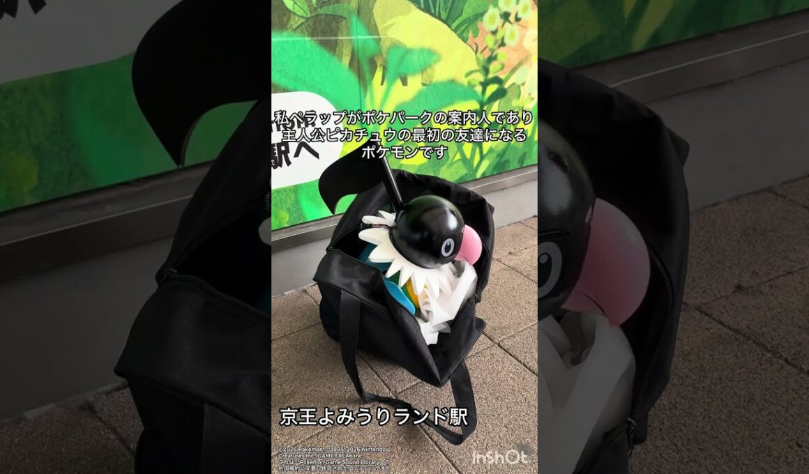 ペラップがオープン間近のポケパーク周辺を散策 #ポケモン #pokemon