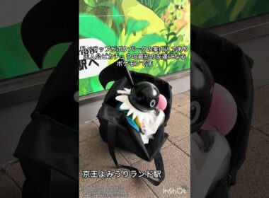 ペラップがオープン間近のポケパーク周辺を散策 #ポケモン #pokemon