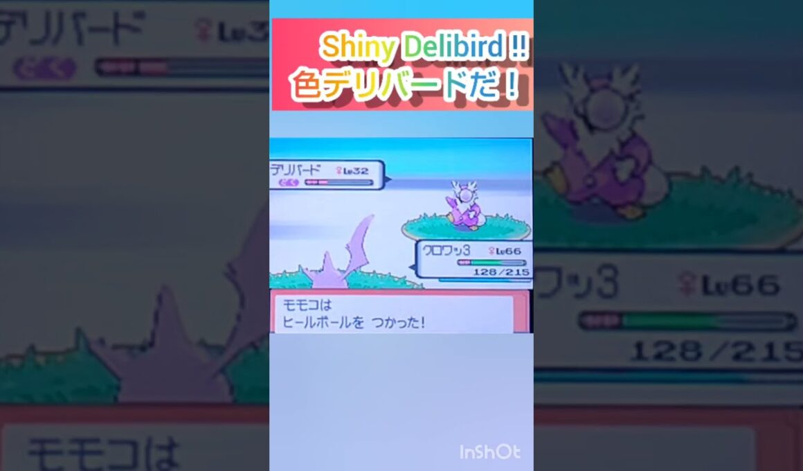 【ポケモンDP】色違い捕獲日記　66日目　デリバード　【PokémonDP】The diary Capturing shiny Pokémon's　Day66　Delibird　#shorts