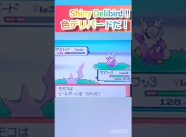 【ポケモンDP】色違い捕獲日記　66日目　デリバード　【PokémonDP】The diary Capturing shiny Pokémon's　Day66　Delibird　#shorts