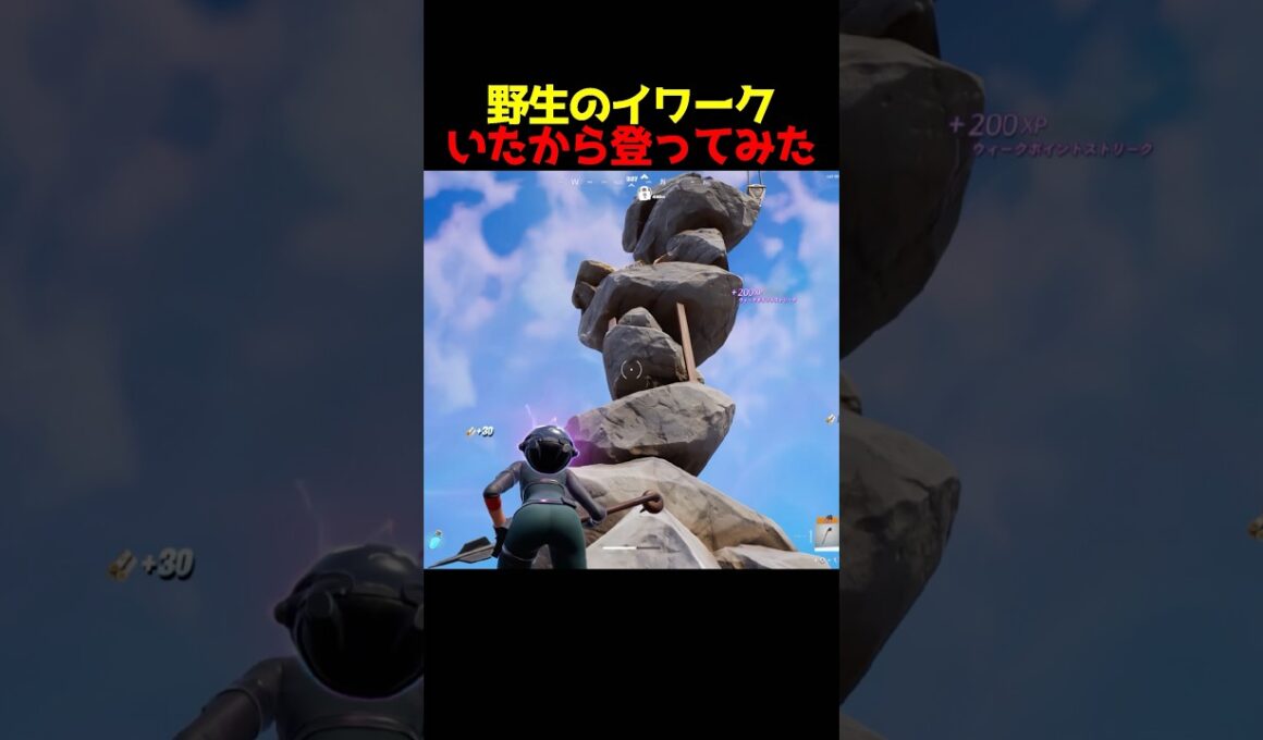 野生のイワークが現れた！登るしかないよね？#Fortnite#shortsfeed