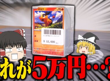 【ポケカ】秋葉原で5万円のポカブを買ってしまいました。 【ゆっくり実況】