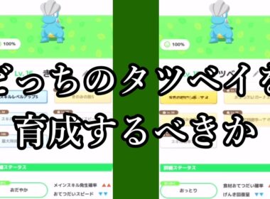 どっちのきのみsタツベイを育成するか迷い所である【ポケスリ】【雑談】