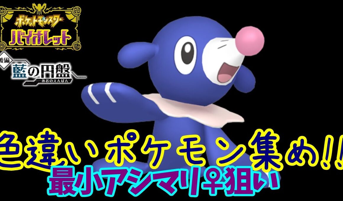 【ポケモンSV】最小色アシマリ♀狙いで色厳選する9【ライブ配信】【実況プレイ】【ポケモンヴァイオレット】【スカヴァイ】【藍の円盤】