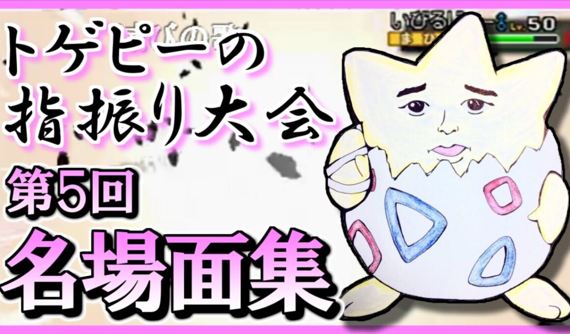 【ポケモンORAS】 トゲピーのゆびをふる大会 爆笑名場面集 #4