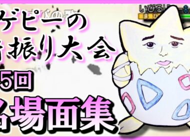 【ポケモンORAS】 トゲピーのゆびをふる大会 爆笑名場面集 #4