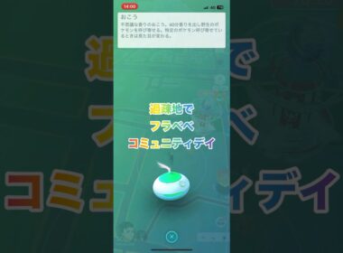 過疎地でフラベべコミュニティデイ#shorts #pokemongo