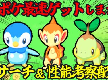 新ポケモン｢ポッチャマ｣｢ヒコザル｣｢ナエトル｣最速ゲット＆考察配信 14:45～