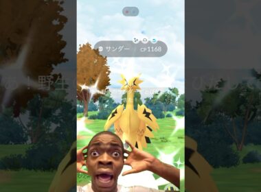 人生2度目のガラルサンダー色違いと遭遇！！ #ポケモン #ポケモンgo #色違い #ガラルサンダー