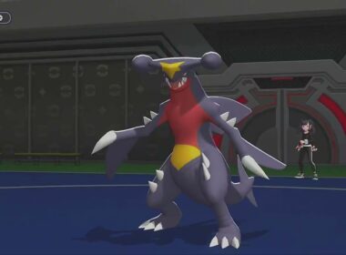 ミルホッグを舐めたら詰む・・・　ポケチャン