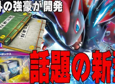【変化の書】世界最強プレイヤーが開発したゾロアークがなんでもありすぎる……【ポケカ対戦】N's Zoroark ex