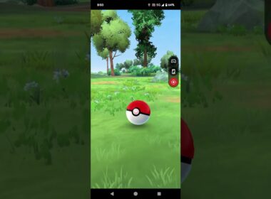 20240605のポケモンgo1のバチュル
