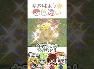 ☀️笑顔ニッコリ！色違いキマワリ🌻✨2026年7月14日 #おはよう色違い #おは色 #ポケモン