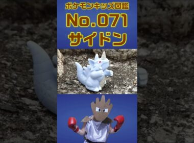 ポケモン実体図鑑No 071サイドン #ポケモンキッズ#サイドン