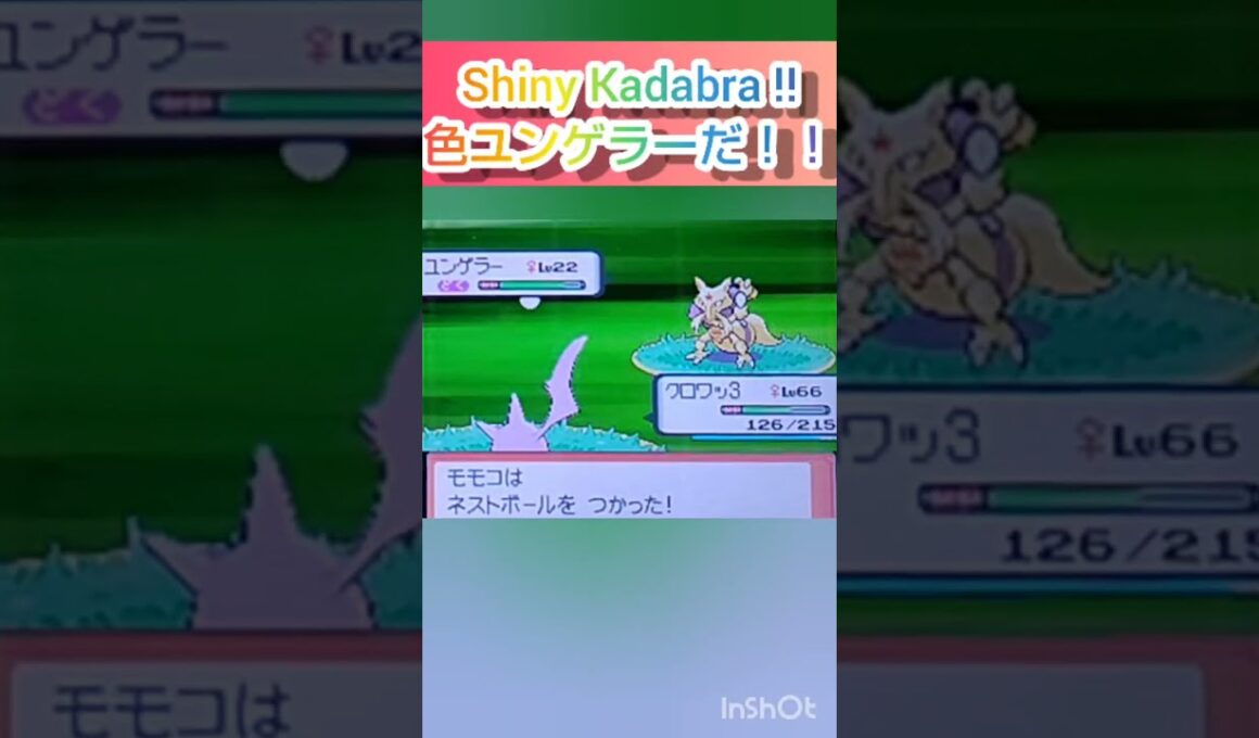 【ポケモンDP】色違い捕獲日記　69日目　ユンゲラー　【PokémonDP】The diary Capturing shiny Pokémon's　Day69　Kadabra　#shorts