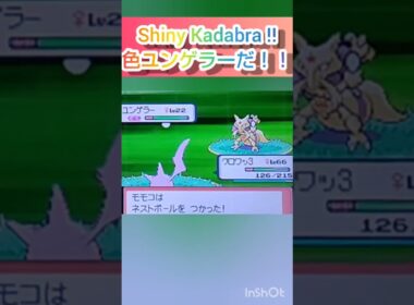 【ポケモンDP】色違い捕獲日記　69日目　ユンゲラー　【PokémonDP】The diary Capturing shiny Pokémon's　Day69　Kadabra　#shorts