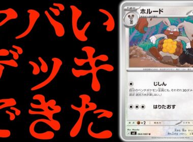 【発狂】この『ホルード』知ってる？？？みんなが大好きな”あのポケモン”が大暴れします！！【vsシロナのガブリアスex】