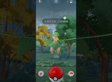 野生のトロピウスGET!!! #pokemon #pokemongo #ポケモン #ポケモンgo #shorts