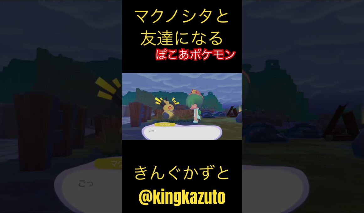 ぽこあポケモン　9歳マクノシタと友達になる　ポケモンカード　ポケモングッズ　ポケポケ　Pokemon. きんぐかずと　@kingkazuto