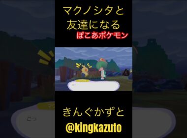 ぽこあポケモン　9歳マクノシタと友達になる　ポケモンカード　ポケモングッズ　ポケポケ　Pokemon. きんぐかずと　@kingkazuto