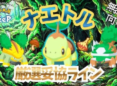 【ポケモンスリープ】 無課金向け ナエトル厳選妥協ライン ドダイトスはまさのヒーラー！？しかもサーナイト級の強さだと！？
