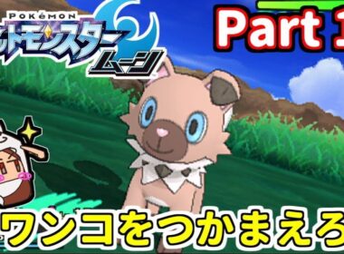 イワンコを捕まえろ！【ポケットモンスター ムーン】Part 17