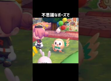 【ぽこあポケモン】モクローの可愛いポイントはどこだと思いますか？