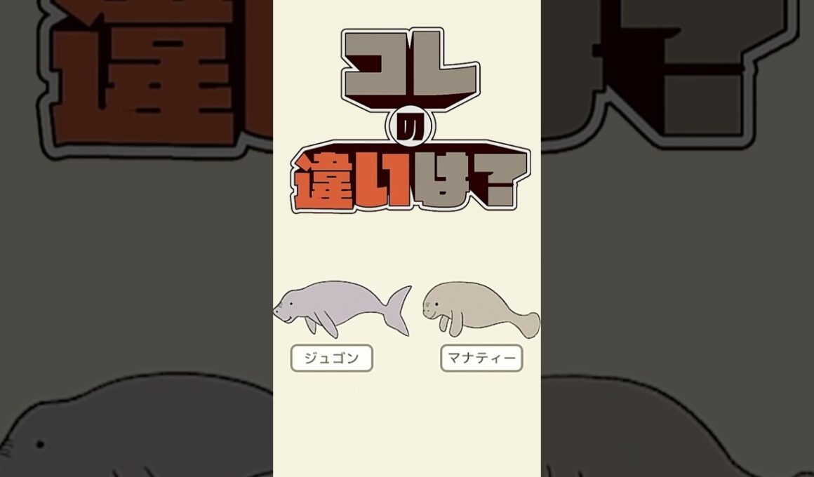 【コレの違いは？】ジュゴンとマナティの違いは？