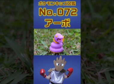 ポケモン実体図鑑No 072アーボ #ポケモンキッズ#アーボ